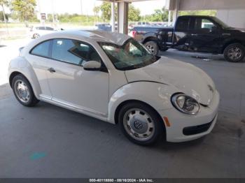  Salvage Volkswagen Beetle