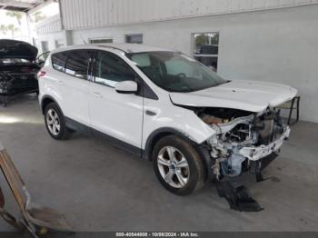  Salvage Ford Escape