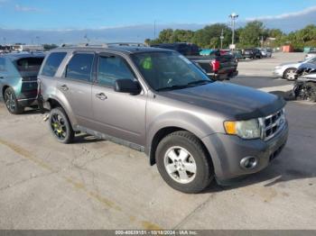  Salvage Ford Escape