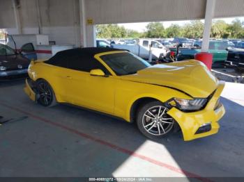  Salvage Ford Mustang