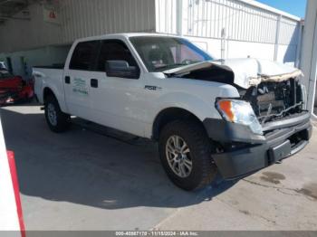  Salvage Ford F-150