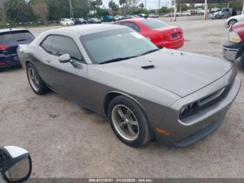  Salvage Dodge Challenger