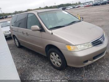  Salvage Honda Odyssey