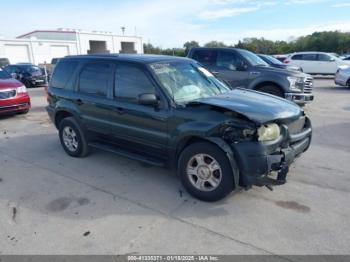  Salvage Ford Escape