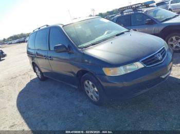  Salvage Honda Odyssey