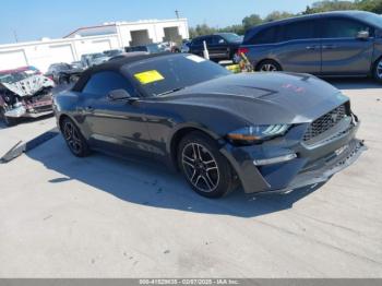  Salvage Ford Mustang