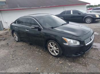  Salvage Nissan Maxima