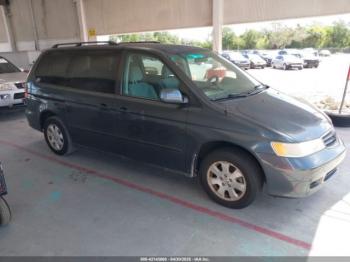  Salvage Honda Odyssey