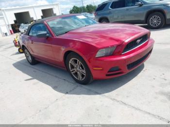  Salvage Ford Mustang