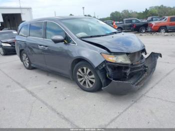  Salvage Honda Odyssey