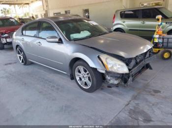  Salvage Nissan Maxima