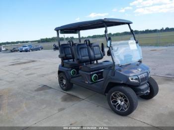  Salvage Paradise Power Sport Shark Cart