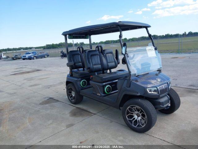  Salvage Paradise Power Sport Shark Cart