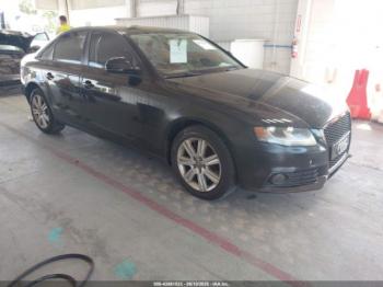  Salvage Audi A4