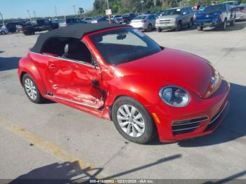  Salvage Volkswagen Beetle