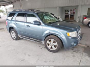  Salvage Ford Escape