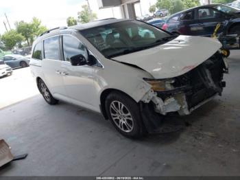  Salvage Honda Odyssey