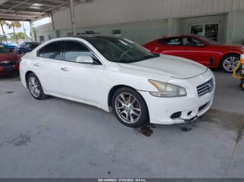  Salvage Nissan Maxima