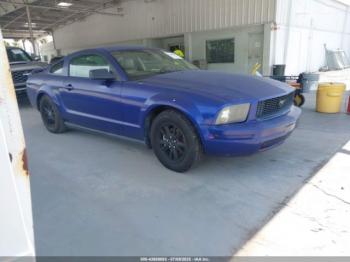  Salvage Ford Mustang