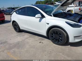  Salvage Tesla Model Y