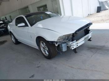  Salvage Ford Mustang