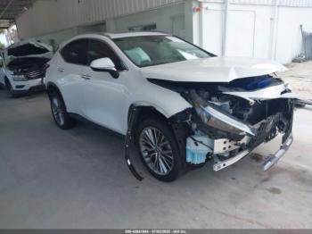  Salvage Lexus NX