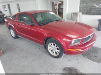  Salvage Ford Mustang