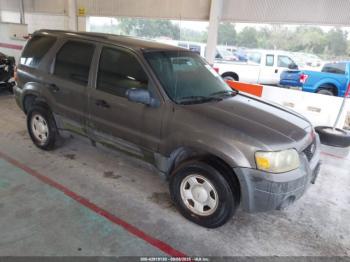  Salvage Ford Escape