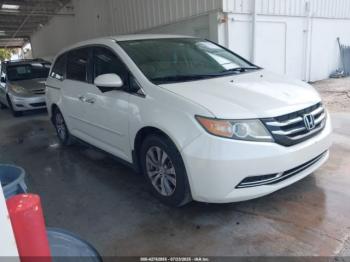  Salvage Honda Odyssey
