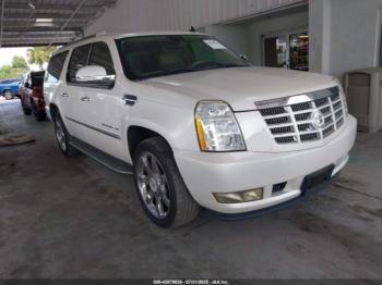  Salvage Cadillac Escalade