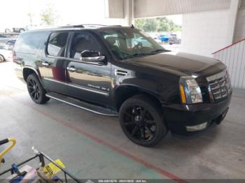  Salvage Cadillac Escalade
