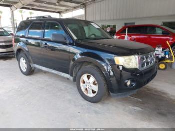  Salvage Ford Escape