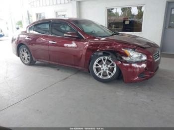  Salvage Nissan Maxima
