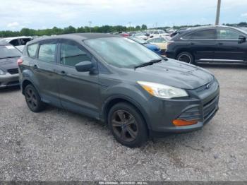  Salvage Ford Escape