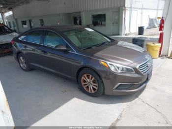  Salvage Hyundai SONATA