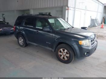  Salvage Ford Escape