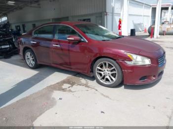  Salvage Nissan Maxima