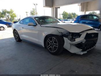  Salvage Ford Mustang
