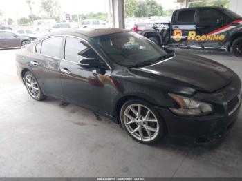  Salvage Nissan Maxima