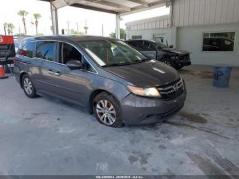  Salvage Honda Odyssey