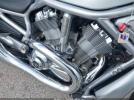 Harley-Davidson Vrscdxa Anniversary Image 13
