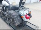 Harley-Davidson Fxdi Image 4