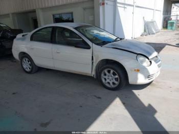  Salvage Dodge Neon