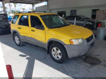  Salvage Ford Escape