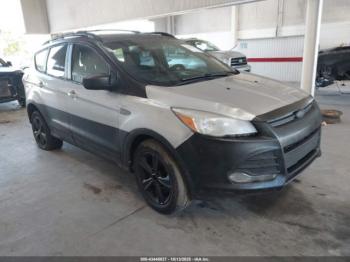  Salvage Ford Escape