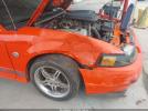 Ford Mustang Mach 1 Image 3