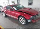 Ford Mustang Gt Image 1