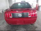 Ford Mustang Gt Image 16