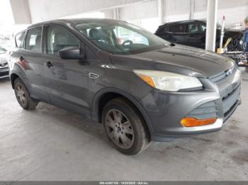  Salvage Ford Escape
