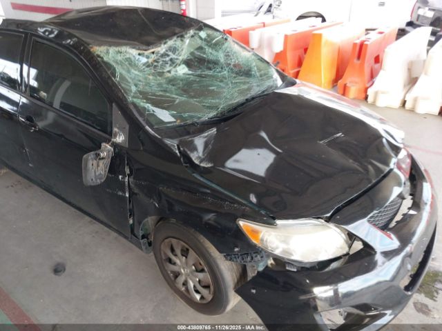 Toyota Corolla Le Image 12